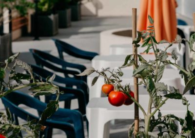 hotel-des-thermes-dejeuner-en-terrasse